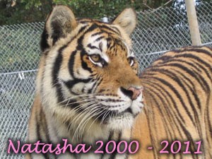 Natasha2011