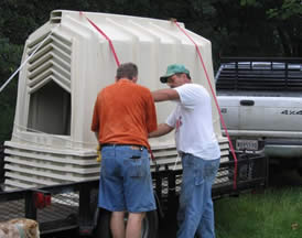 yogie and friends exotic cat sanctuary