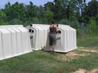 Yogie and Friends Exotic Cat Sanctuary