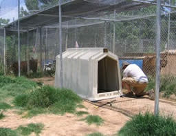 new houses for the cats