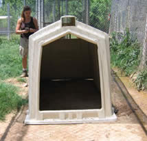 yogie and friends exotic cat sanctuary