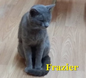 Frazier