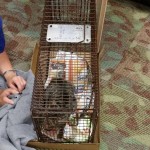 12193474_10206426163227165_385339895148180681_n