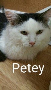Petey